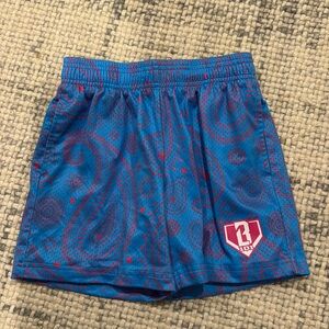 Baseball 101 shorts. Youth medium. Excellent condition